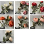 3头油画圆牡丹 (8)