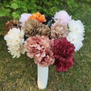 3头牡丹芍药2号 (1)