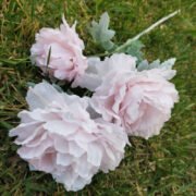 3头牡丹芍药2号 (3)