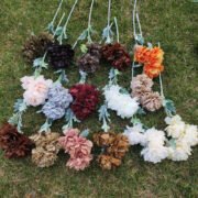 3头牡丹芍药2号 (5)