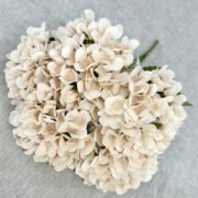 5头梅奎绣球 (2)