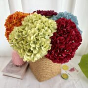 5头梅奎绣球 (5)