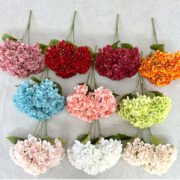 5头梅奎绣球 (6)