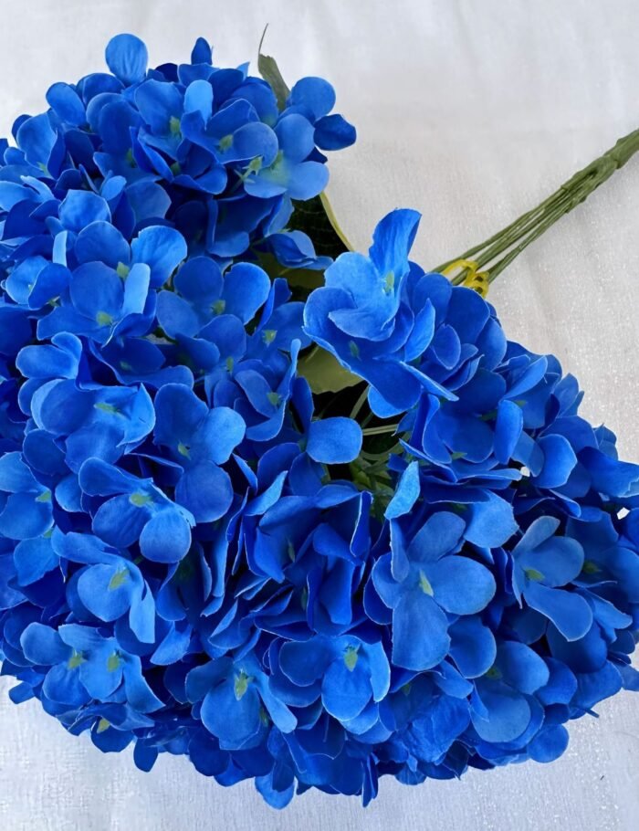 5头法国绣球 (5)