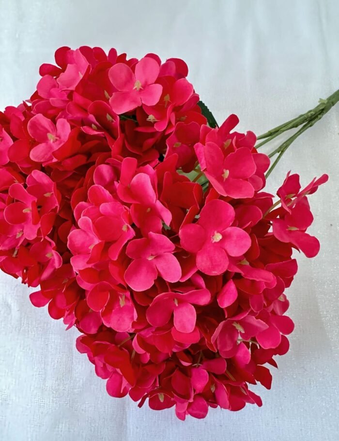 5头法国绣球 (6)