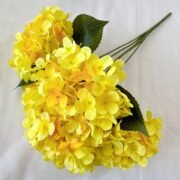 5头法国绣球 (7)