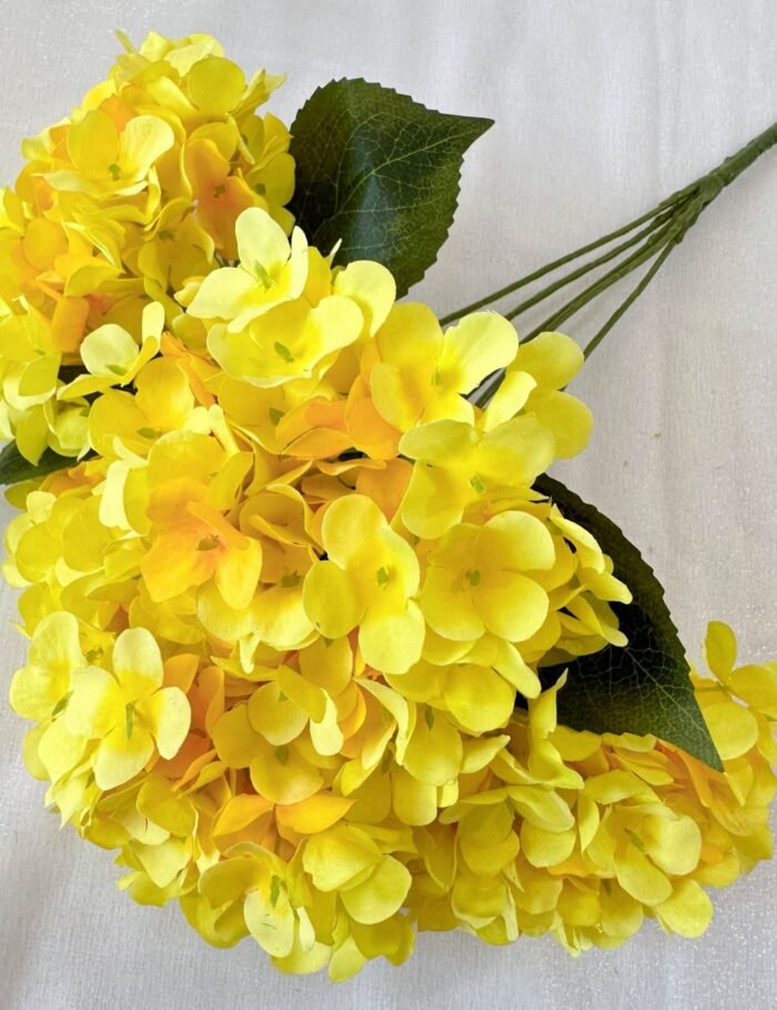 5头法国绣球 (7)