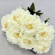 7头春琪牡丹把束 (1)