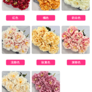 7头春琪牡丹把束 (1)