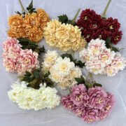 7头春琪牡丹把束 (4)