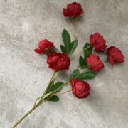 7头玲珑牡丹 (4)