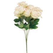 7头磨毛焦边玫瑰 (1)