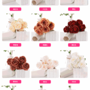 7头磨毛焦边玫瑰 (2)