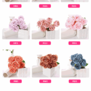 7头磨毛焦边玫瑰 (3)