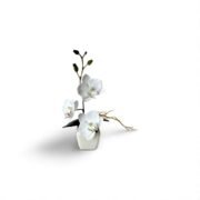 8a2c6c42-4ed4-4f9a-9d5d-f942236e2d14