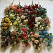 8头凤艳玫瑰 (1)