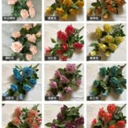 8头凤艳玫瑰 (3)