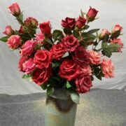 8头凤艳玫瑰 (4)