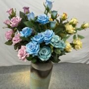 8头凤艳玫瑰 (5)