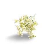 baeb3570-f8b8-42f1-93d6-31756f4ecc6e