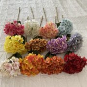 单只四角绣球 (2)