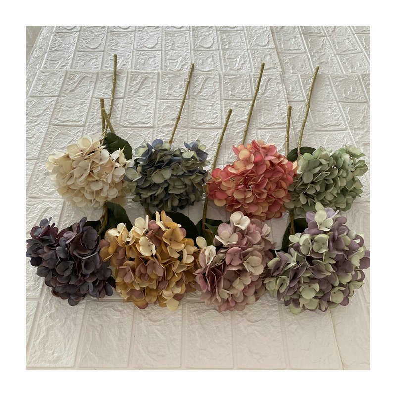 单只四角绣球 (3) 单只四角绣球 (3)