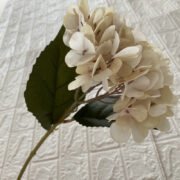 单只四角绣球 (6)