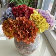 单只四角绣球 (8)