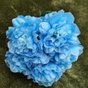 无叶五头牡丹 (4)