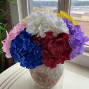 无叶五头马洛卡绣球_ (1)