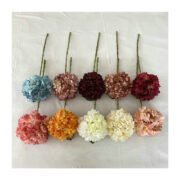 曼谷大单只焦边绣球 (2)