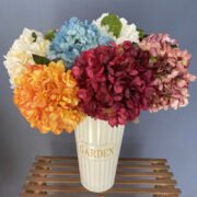 曼谷大单只焦边绣球 (5)