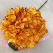 曼谷大单只焦边绣球 (8)