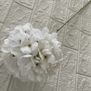 棒棒糖绣球2号 (2)