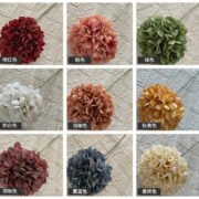 棒棒糖绣球2号 (4)