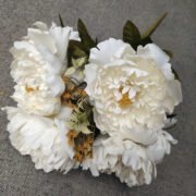 欧式11头波兰牡丹 (6)