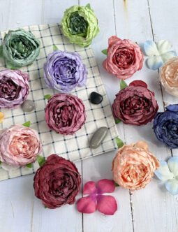 Burnt Edge Peony head