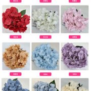 田园5叉大花瓣绣球 (2)