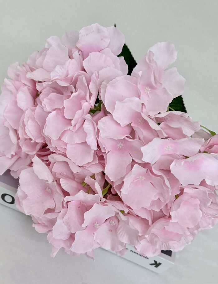 田园5叉大花瓣绣球 (4)