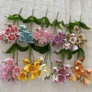 短支3叉8头铁线莲 (1)