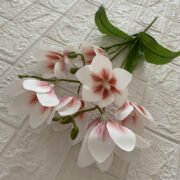 短支3叉8头铁线莲 (2)