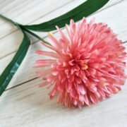 秋色绿植单头球 (2)