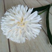 秋色绿植单头球 (3)