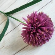 秋色绿植单头球 (5)