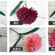 秋色绿植单头球 (6)