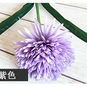 秋色绿植单头球 (7)