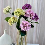 英式2头绣球 (5)