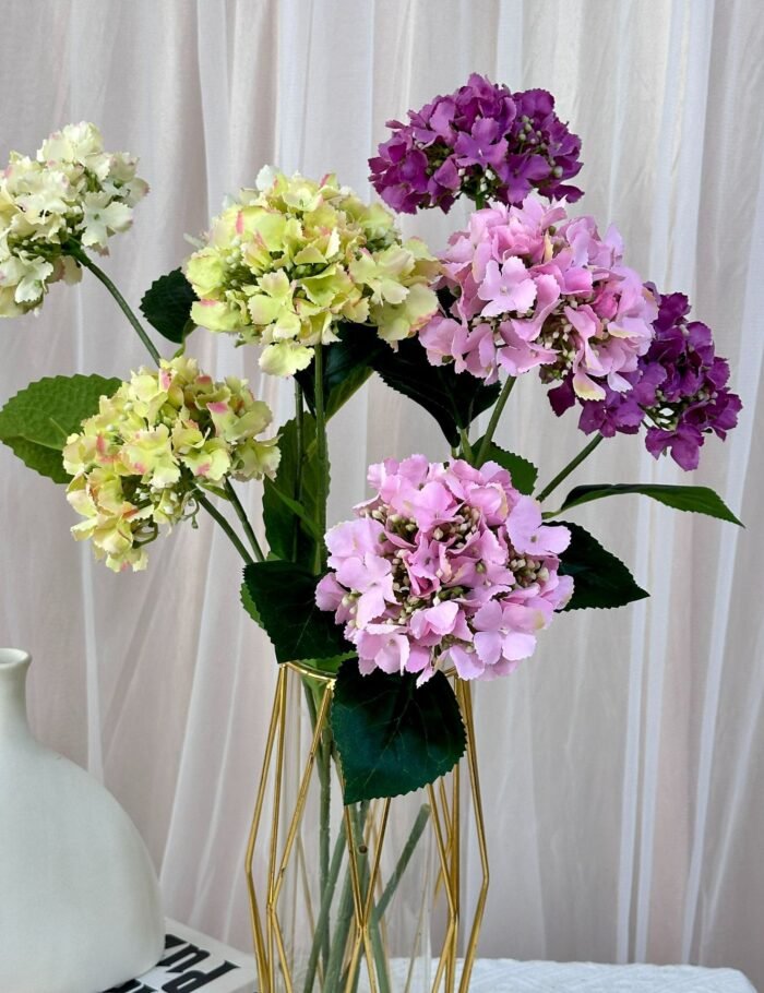 英式2头绣球 (5)