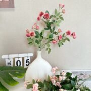 迷你玫瑰森系 (2)