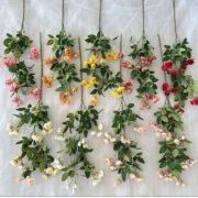 迷你玫瑰森系 (6)